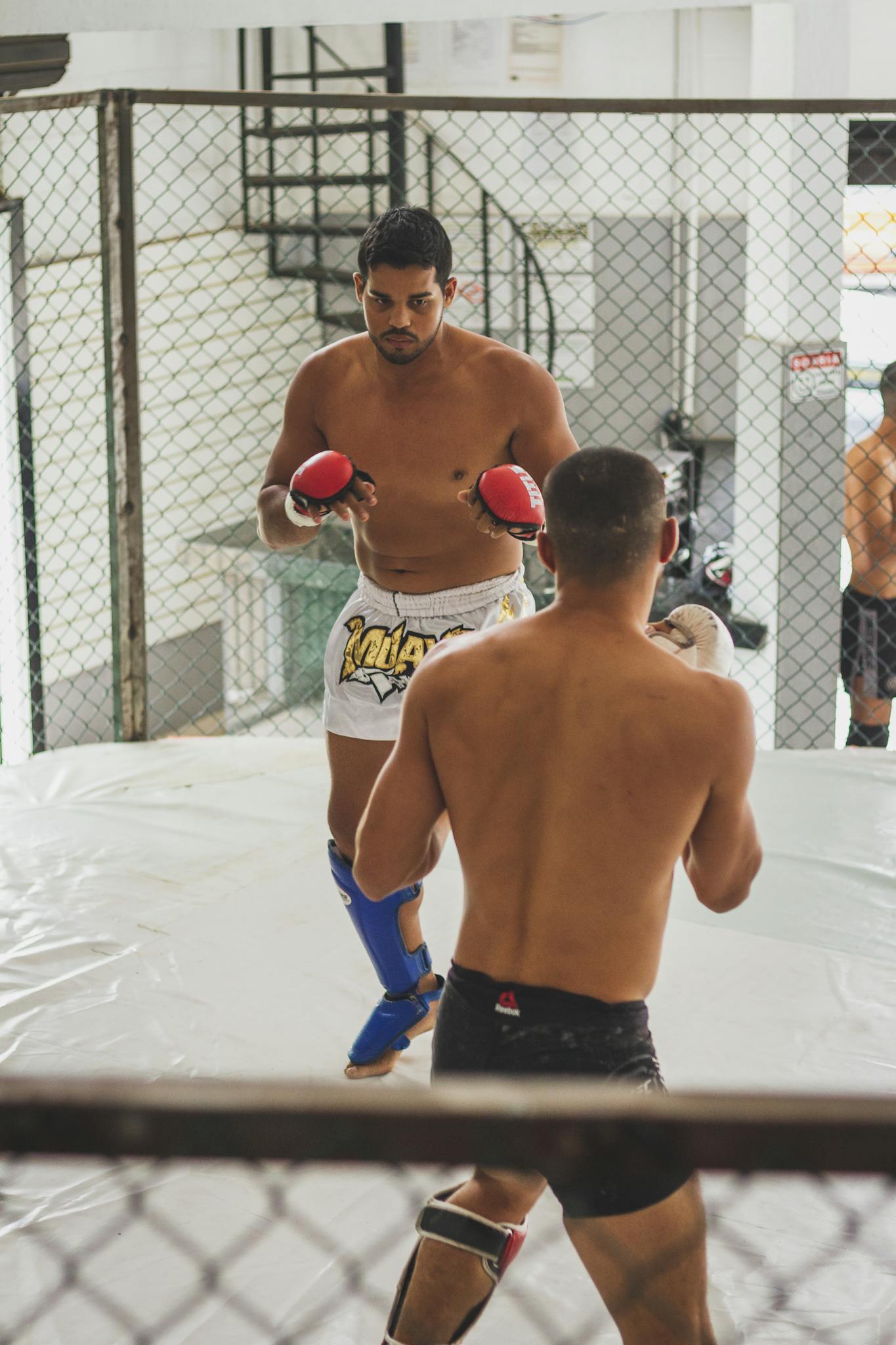 Deux boxeurs lors d'un combat de boxe française