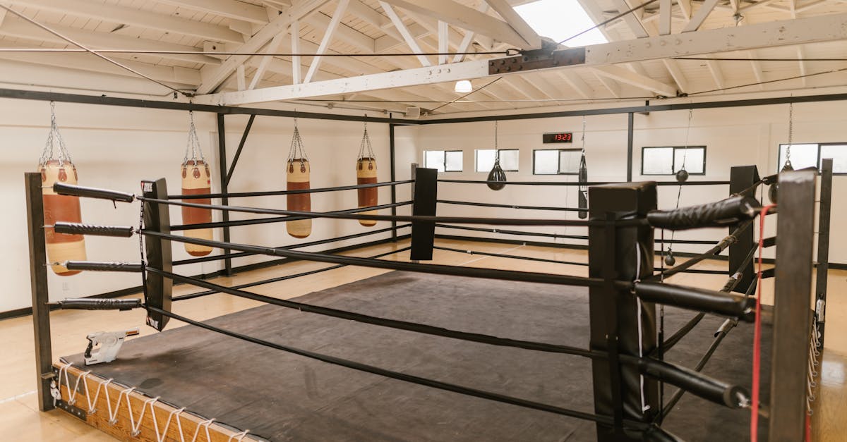 Trois sacs de boxe pour briller en savate dans les Cévennes